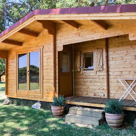 Woodhouse Villa Sao Pedro do Estoril Ngoại thất bức ảnh
