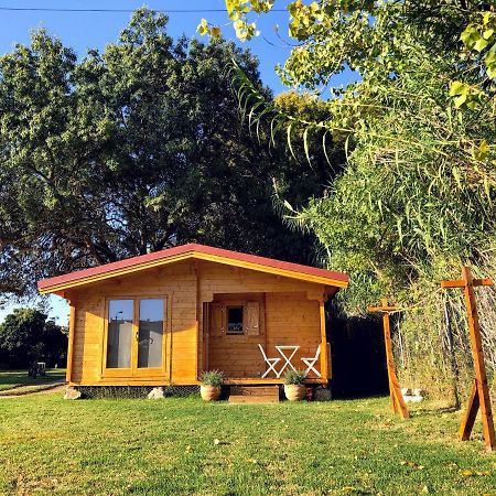 Woodhouse Villa Sao Pedro do Estoril Ngoại thất bức ảnh